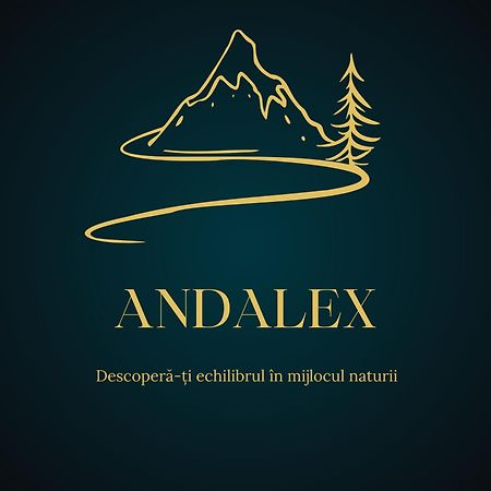 Pensiunea Andalex Zarnesti Luaran gambar