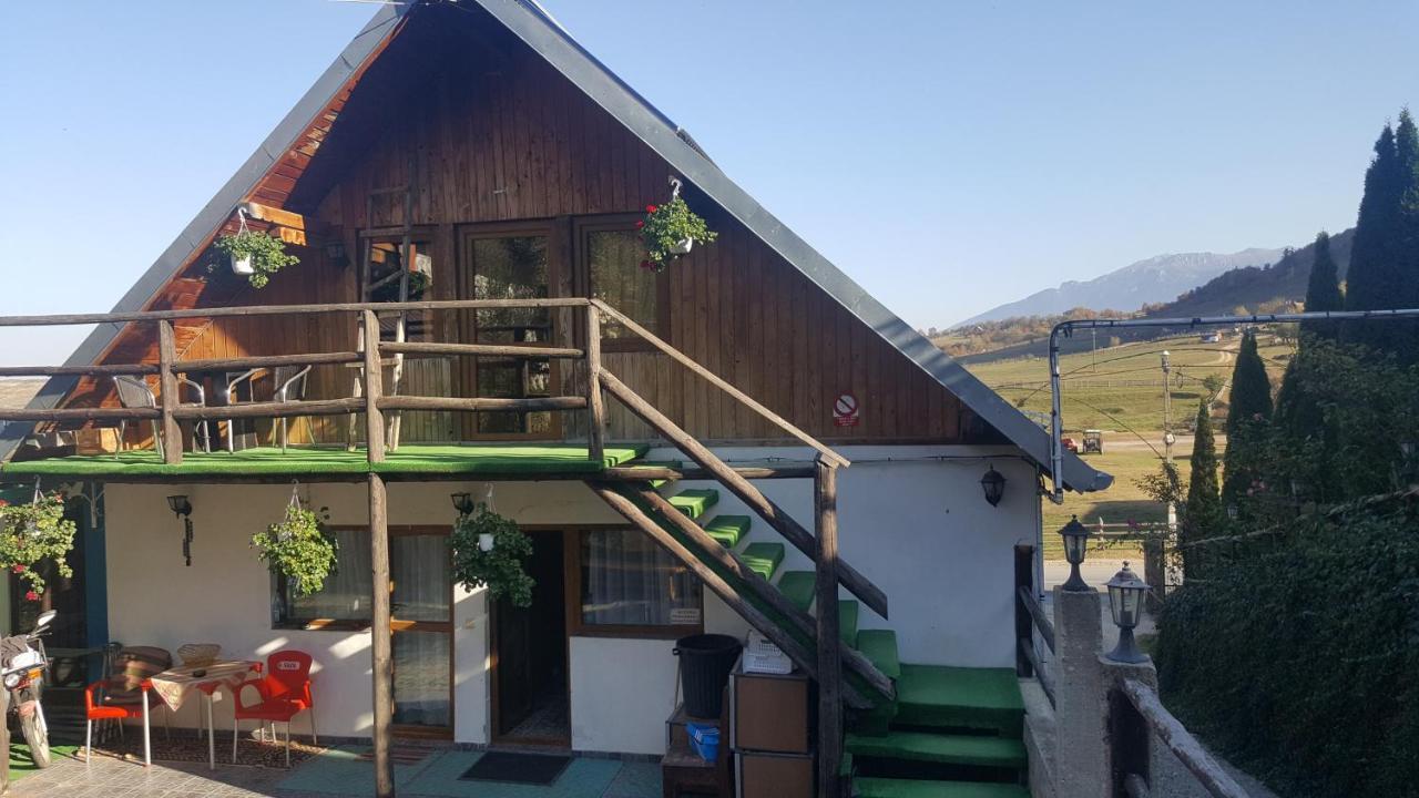 Pensiunea Andalex Zarnesti Luaran gambar